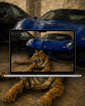 Animal Cars Collection - 5 Wallpaper